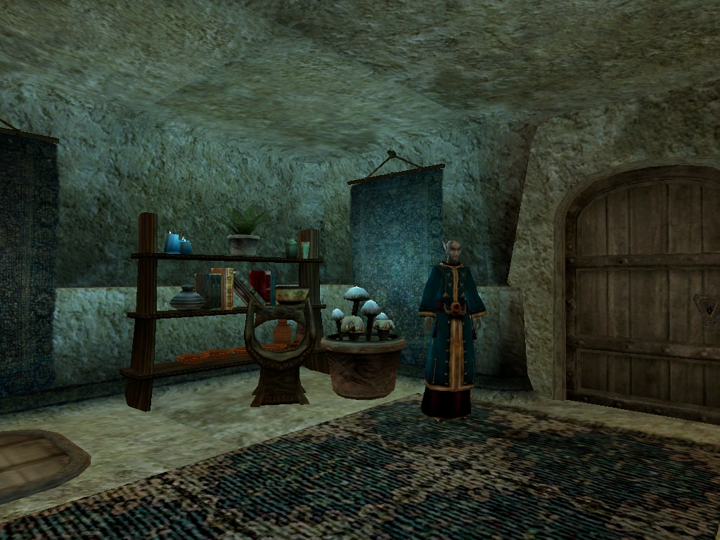 Telvanni Mage | Elder Scrolls | FANDOM powered by Wikia