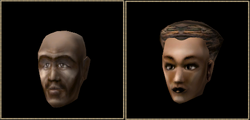 Rothwardonen (Morrowind)