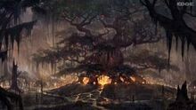 Elder scrolls online Hist Tree concept