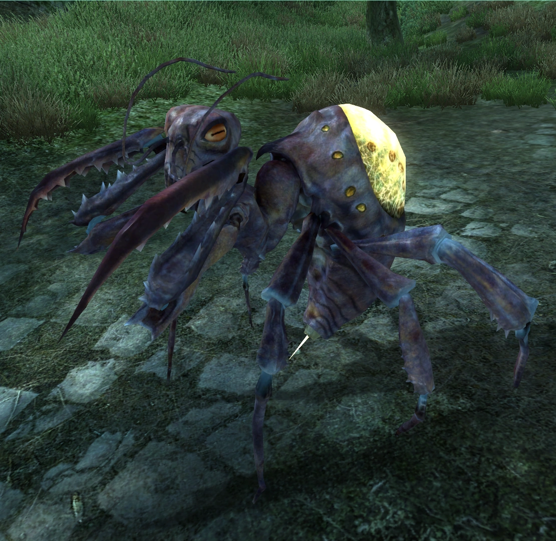 Elytra Elder Scrolls Wiki Fandom