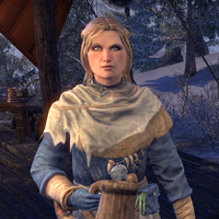 Echte Katzen Retten Indem Du The Elder Scrolls Online Spielst