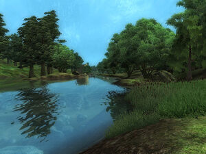 TESIVOblivion Niben 2