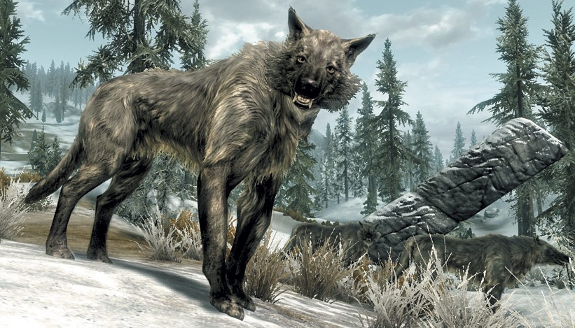 Bild - 03-ice-wolf.jpg | Elder Scrolls Wiki | FANDOM powered by Wikia