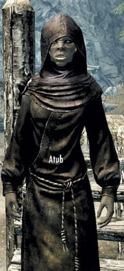 Atub.