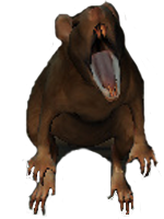 Oblivion Rat Attack