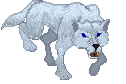 ArenaSnowWolf