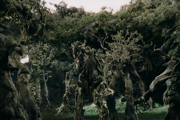 Camara de los ents