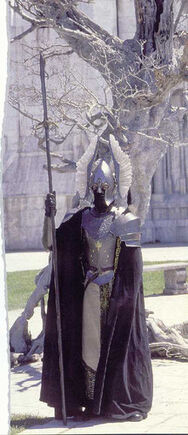 Guardia de la ciudadela