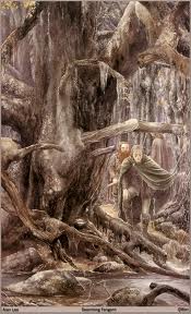 Fangorn2