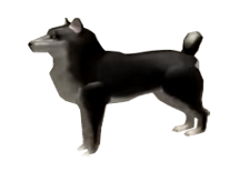 Dog Electric State Darkrp Wiki Fandom Powered By Wikia - doge gif roblox