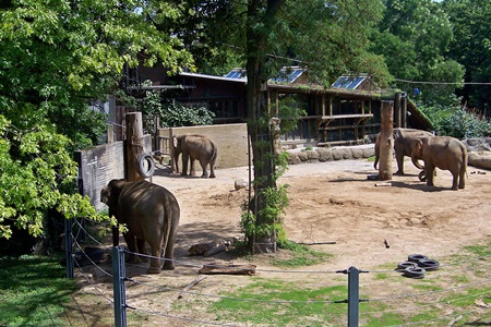 Zoologischer Stadtgarten Karlsruhe | EleWiki | FANDOM powered by Wikia