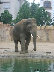 Mekong1