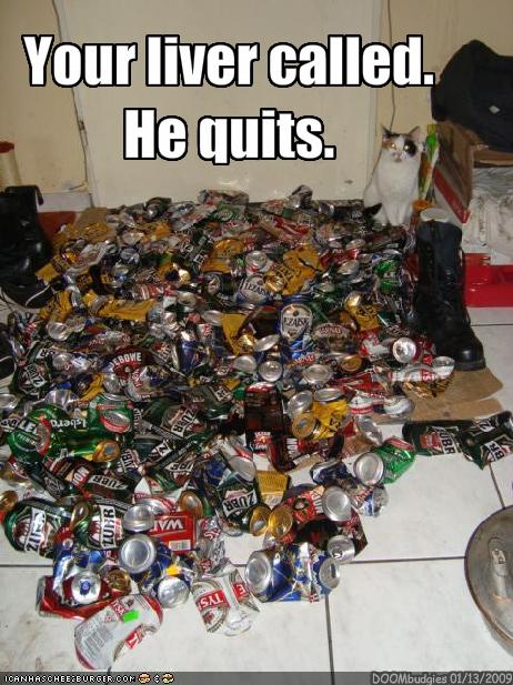 Funny-pictures-cat-has-a-message-to-you-from-your-liver