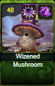 Wizened Mushroom