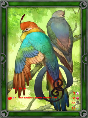 Bird of Paradise