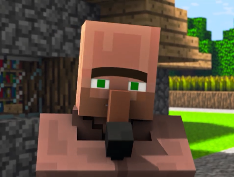 I Am A Villager What About It Villager No. 9 | Element Animation Wiki | Fandom