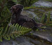 Jaskinioptak