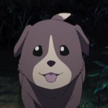 Lucy S Puppy Elfen Lied Wiki Fandom