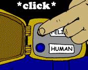 TF Belt