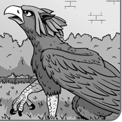 Griffin1