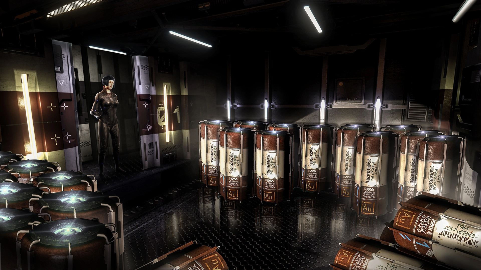 Image EliteDangerousPilotCargoCanistersArt.png Elite Dangerous