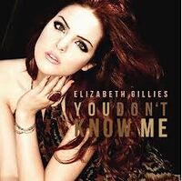 You Don T Know Me Elizabeth Gillies Wiki Fandom
