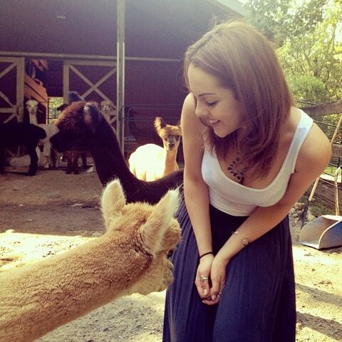 File:Liz with Llama 2.jpg