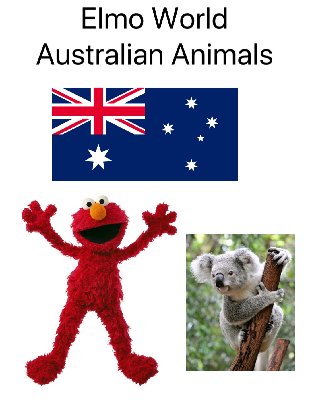 Elmo s World Australian Animals Elmos world fanon Wiki 
