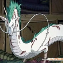 Haku Dragon Wiki Elviajedechihiro Fandom