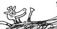 Wally