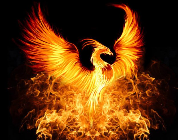 The Phoenix | Elysium RP Wiki | FANDOM powered by Wikia