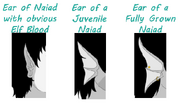 NaiadEars