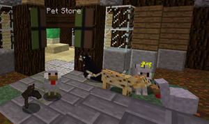 Pets