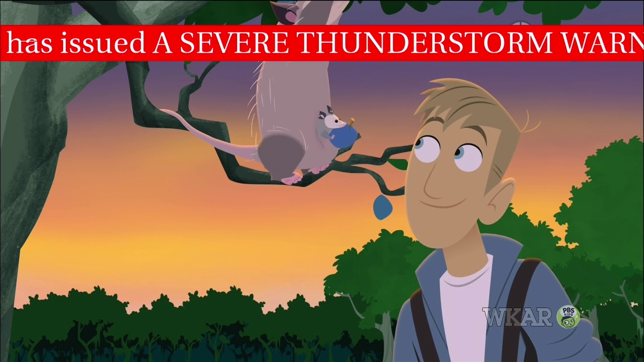 Severe Thunderstorm Warning Emergency Alert System Wiki Fandom