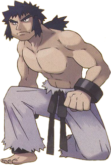FireRed LeafGreen Bruno