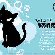 Emily S Cats Emily The Strange Wiki Fandom