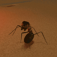 Formica Rufa Ant Red Wood Ant Empires Of The Undergrowth Wiki Fandom