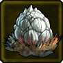 Lizard egg