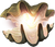 Naga shell