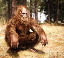 Bigfoot skullc