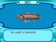 Coelacanth