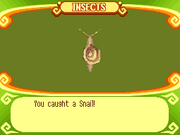 Snail