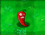 Jalapeño