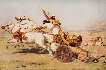 SuperStock 1916-1659