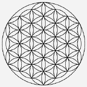 Flor-de-la-vida-1