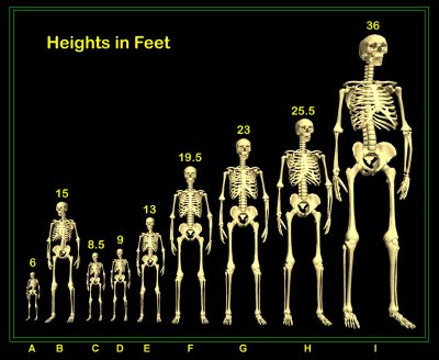 Nephilim height chart 2
