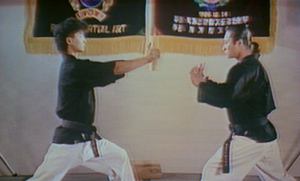 Kung Fu Brothers