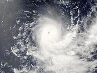 Sturm Zeljko
