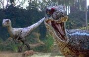 Two velociraptors