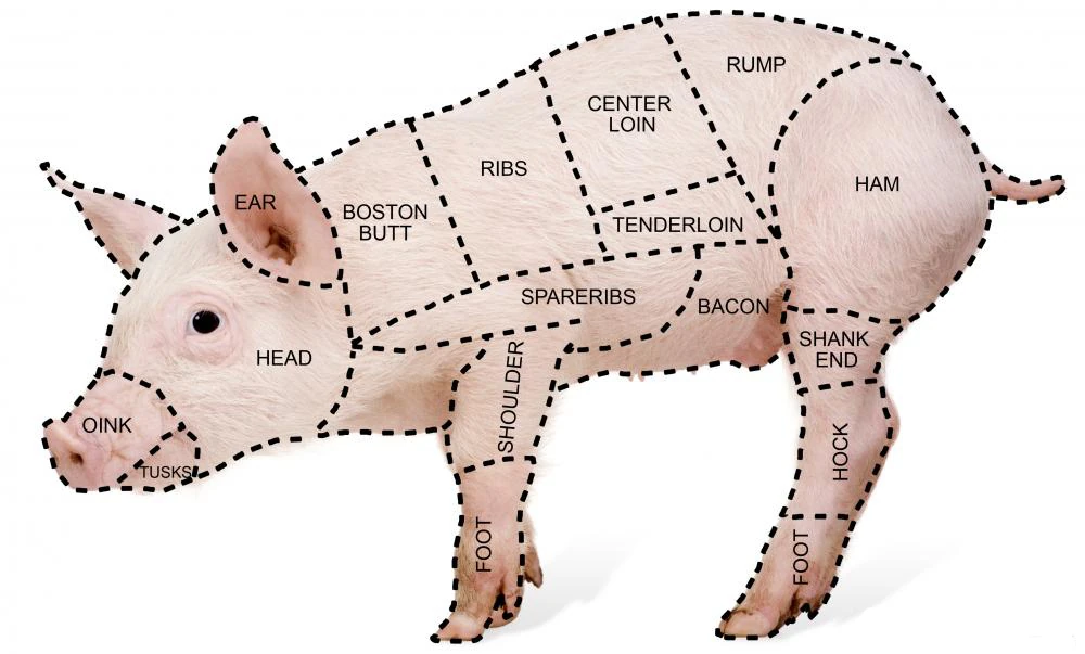 Image Porkcutdiagram.jpg Endgame ARG Wiki FANDOM powered by Wikia